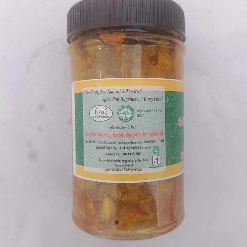 Garlic Pickle view 2