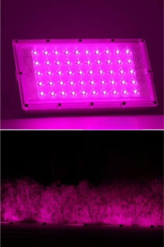 SPARKWORLD Pink Flood Light Outdoor Lamp | Colour: Pink (Pack of 1)