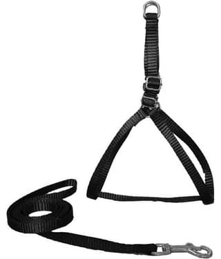 Petshop7 - Black Dog Collar (X-Small)