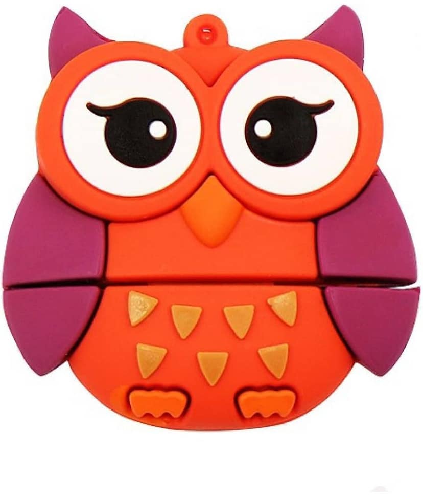 Pankreeti PKT450 Cute Owl 128GB USB 2.0 Fancy Pendrive Pack of 1
