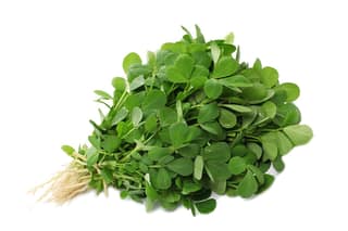 Green Chickpea leaves 1 Bunch