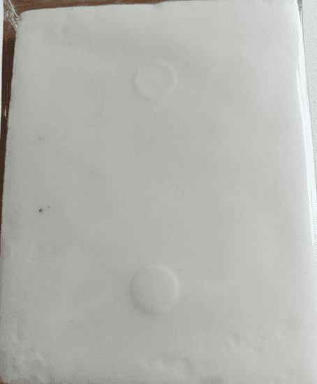 CAMPHOR view 2