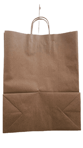 Premium Paper Bag with Handles