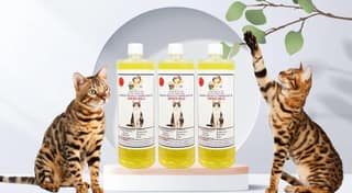SWACCH Shampoo Specially FORMULATED for Indian Billi (1 Litre) (Pack of 3) Lemon