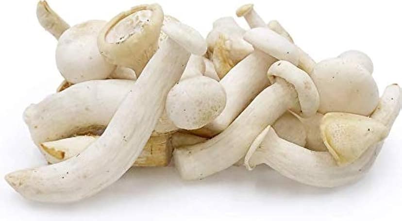 Fresh Milky White Mushroom 200 Gms