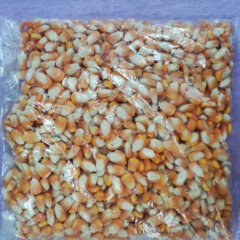 Maize 500gm view 2