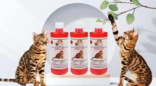SWACCH Shampoo Specially Formulated for Bengal Cat (500ML) (Pack of 3) Jasmine