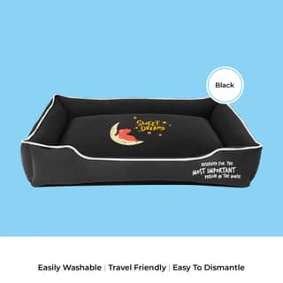 CAPTAIN ZACK- DREAM BEDZZZ BLACK (S-M)