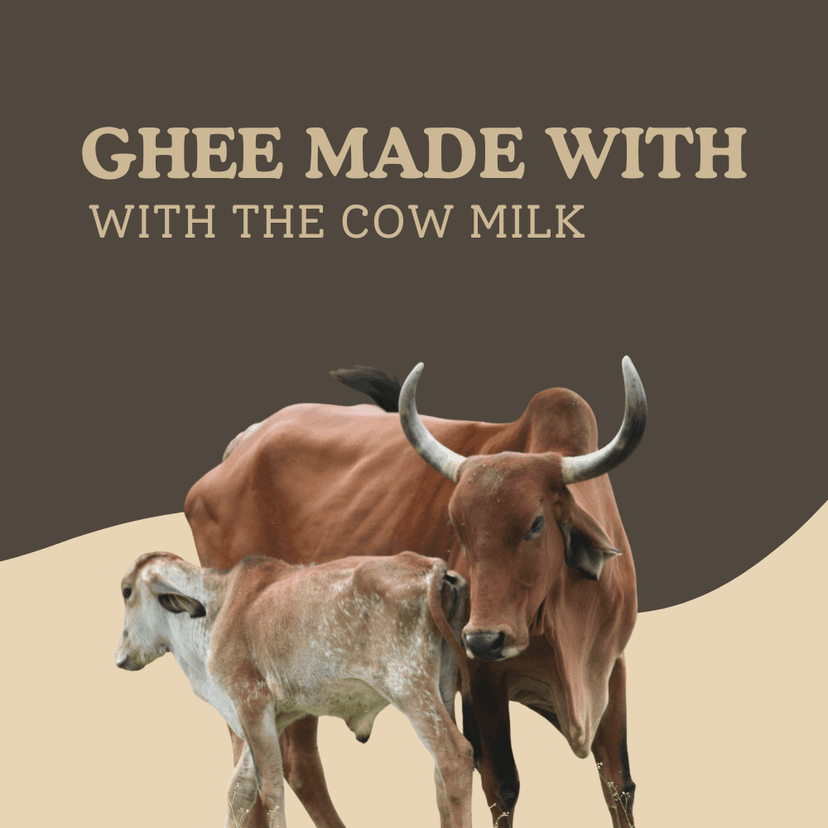 Anugraha Organic Grass-Fed Cow Ghee | Pure Desi Bilona Ghee | Cultured Vedic Ghee | 100% Natural & Traditional Processed ( Pack of 1 ) - 1 Liter view 4