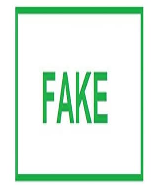 Dey 's Stationery Store Fake Pre-Inked Rubber Stamp Office Stationary Message - Fake( Green Pack of1 )