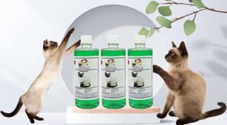 SWACCH Shampoo Specially FORMULATED for Siamese (500ML) (Pack of 3) Neem Alovera