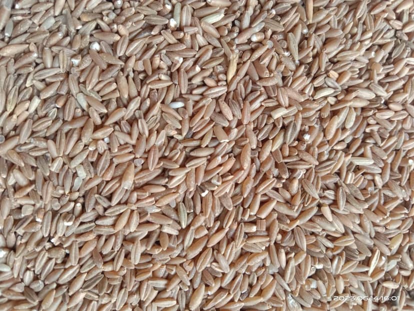 Uzhavan Unavu - Bamboo Rice - 1 Kg view 3