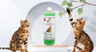 SWACCH Shampoo Specially FORMULATED for Bengal Cat (1 Litre) NEEM ALOVERA