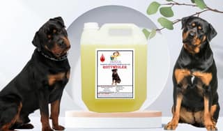 SWACCH Shampoo Specially FORMULATED for Rottweiler (10 Litre) Lemon