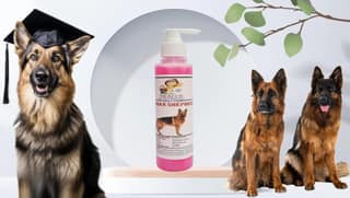 SWACCH Premium Shampoo for German Shepherd (200ML) Rose