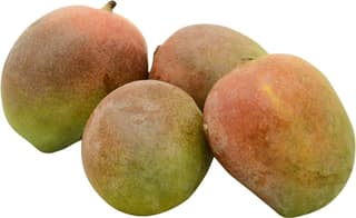 Mango - Lalbahar 4 pcs