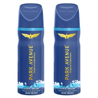 Park Avenue Men's Classic Deo, Cool Blue, 100g