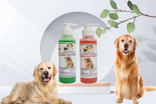 SWACCH Premium Shampoo for Golden Retriever (200ML) (Combo Pack of 2) NEEM ALOVERA & Jasmine