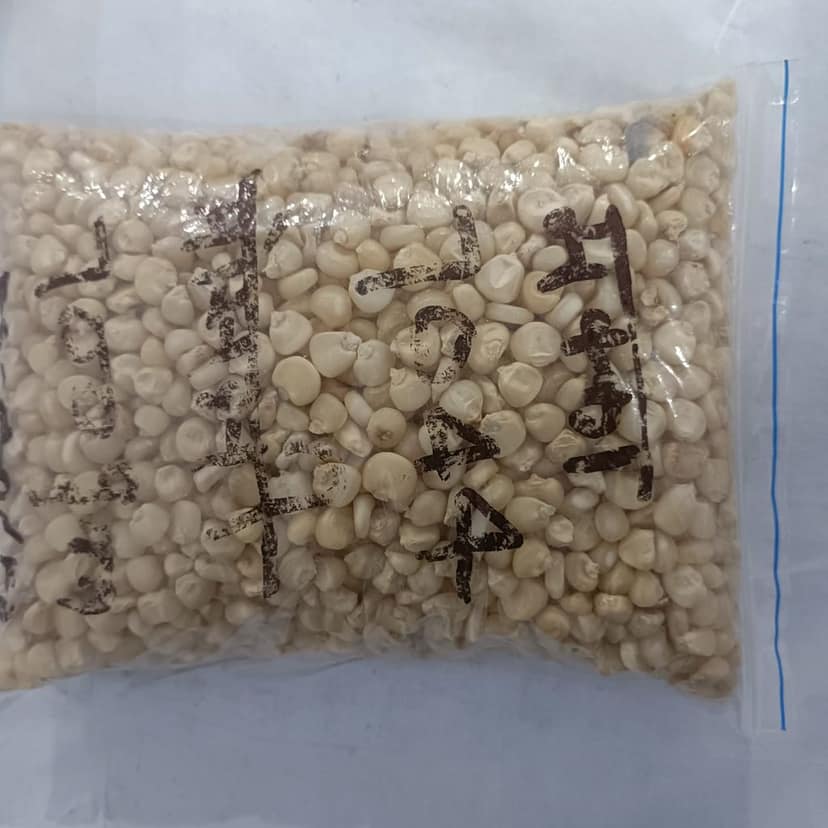 White Maize- 700 gm view 4