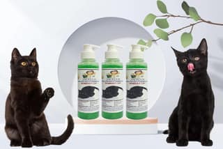 SWACCH Premium Shampoo for Bombay CAT (200ML) (Pack of 3) NEEM ALOVERA
