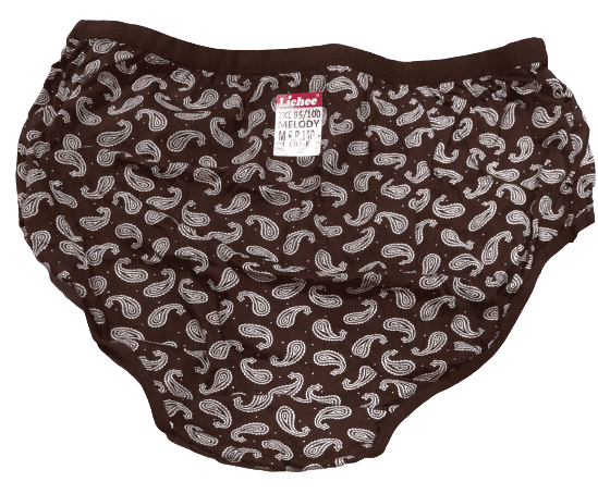 Print Low Rise Hipster Panties