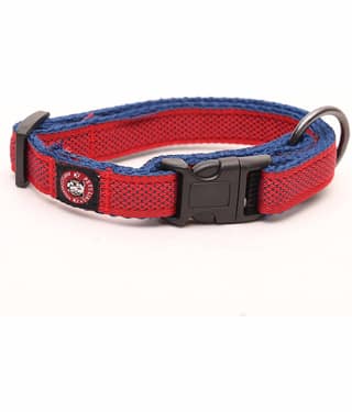 pets like Black Collar ( Large )
