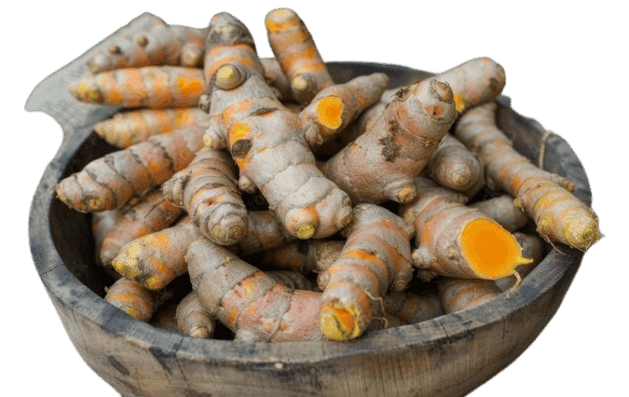 Organic Turmeric Root view 3
