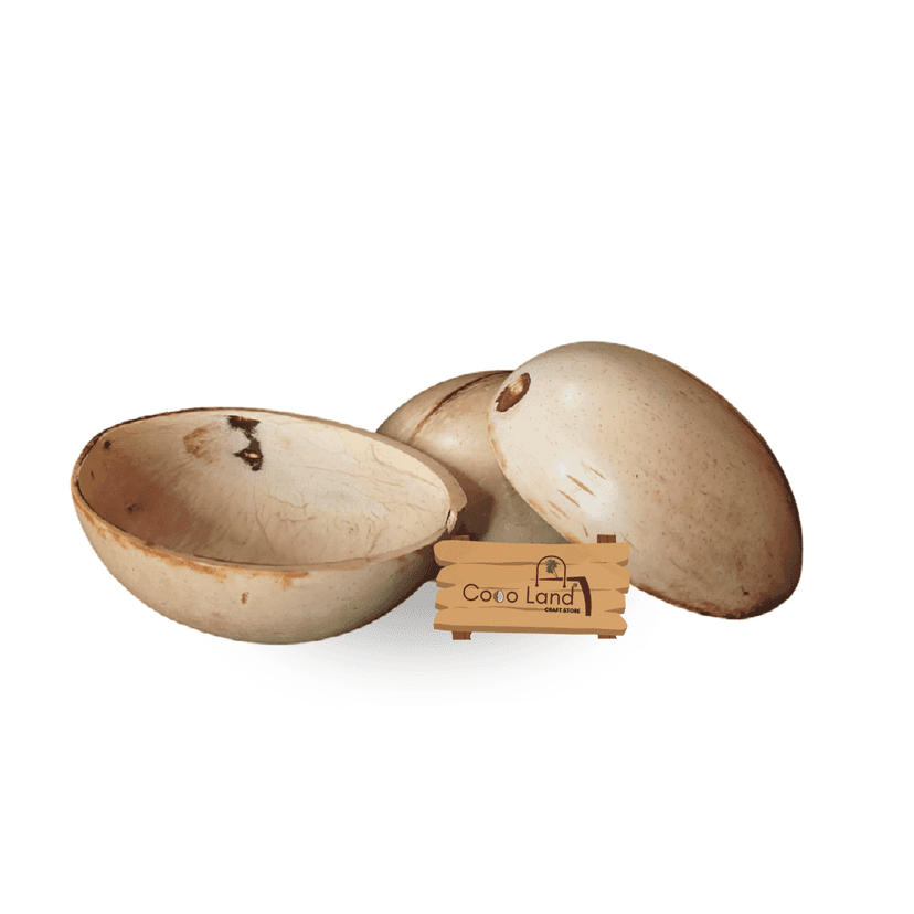 CocoLand Coconut Shell Pudding Pot Oval Shape (150-250 ml) M-L Size Coconut Oil Polished