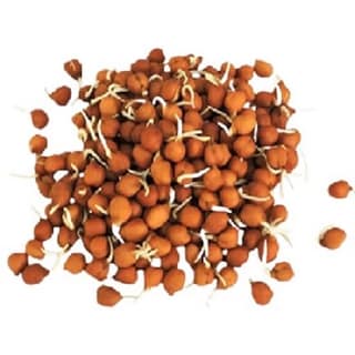 Brown Chana Sprouts 1 Pack