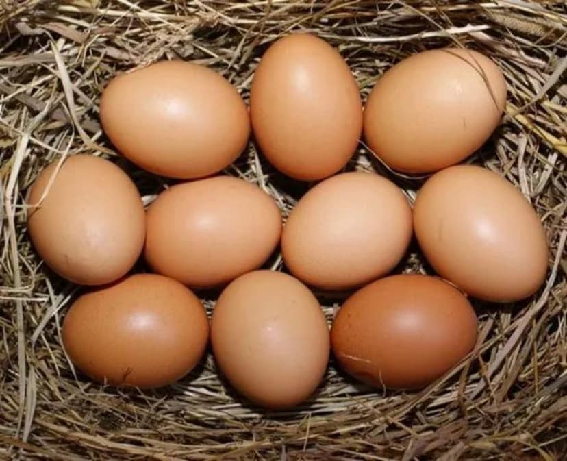 Farm Fresh Eggs - 100 gm - Single egg