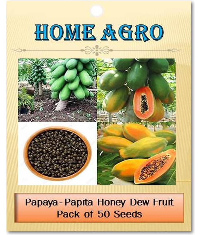 homeagro - Fruit Seeds ( 50 - seed )