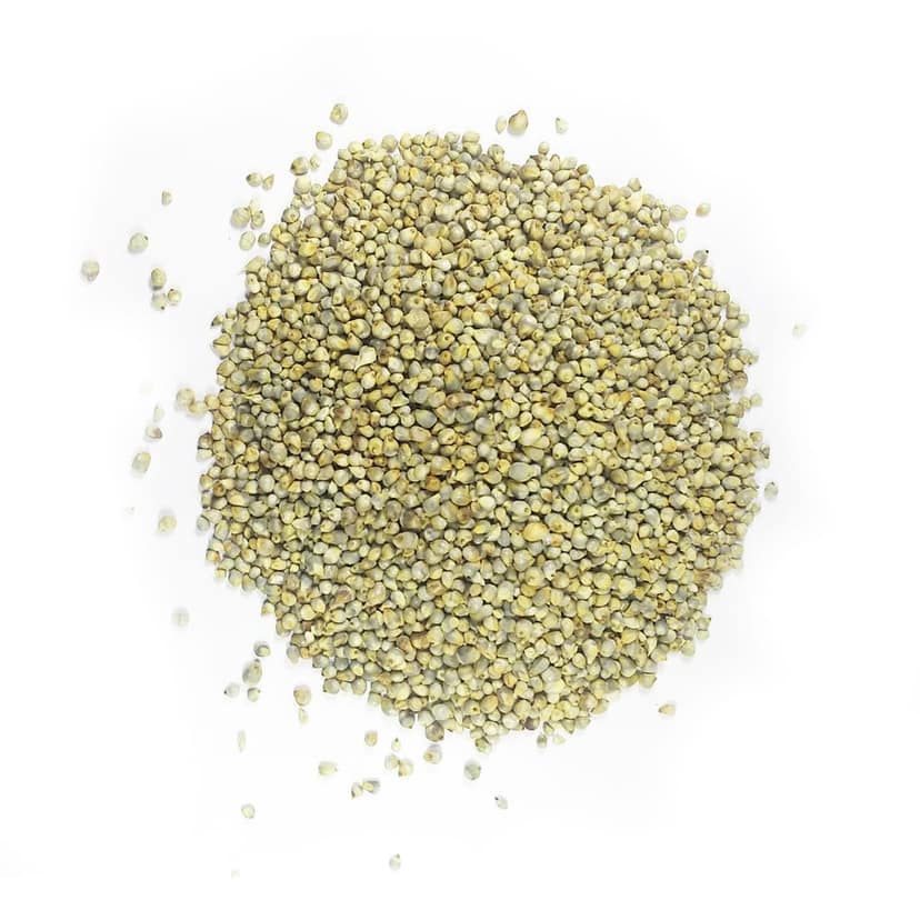 Traditional Millet (Bajra or Pearl) 1kg view 3