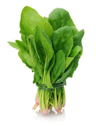 Palak 1 Bunch