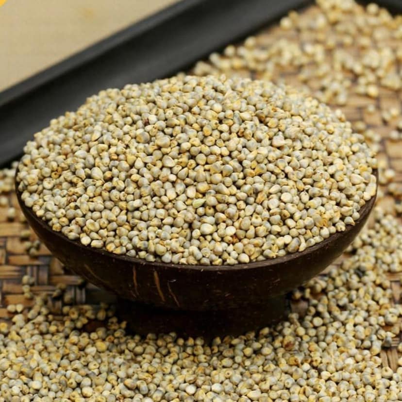 Sajjalu / Pearl Millet view 3