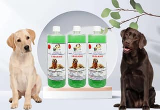 Swacch Shampoo Specially Formulated for Labrador (1 Litre) (Pack of 3) Neem Alovera
