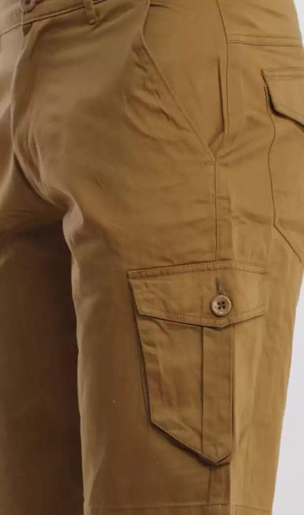 Men Cargo 6 Pocket Shorts view 6