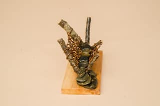 Living Root Bridge Souvenir