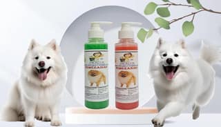 SWACCH Premium Shampoo for Pomeranian (200ML) (Combo Pack of 2) NEEM ALOVERA, Jasmine