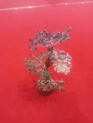 7 chakr tree