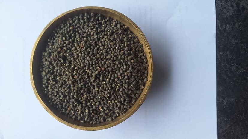 Black gram - 1 kg - Pack of one view 2