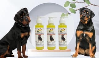 SWACCH Premium Shampoo for Rottweiler (200ML) (Pack of 3) Lemon