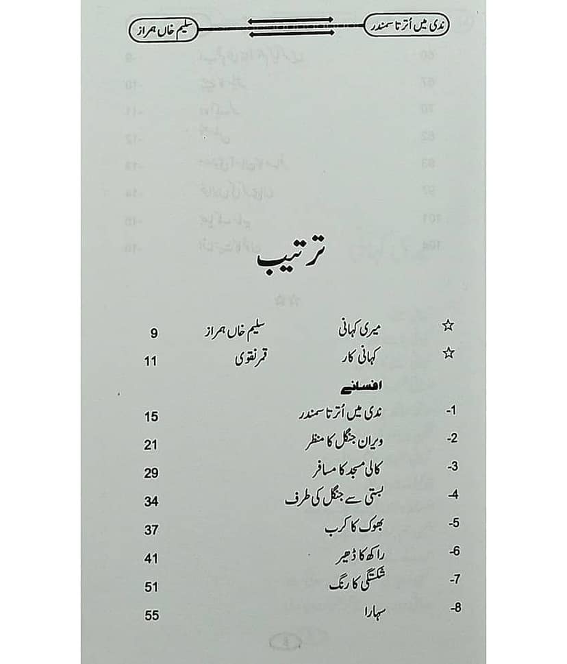 Nadi Main Utarta Samundar Urdu Collection Of Stories view 2