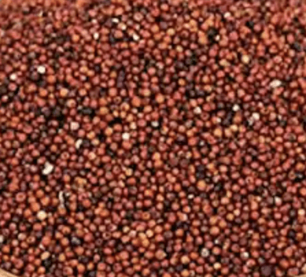 Ragi (Finger Millet / Kelvaragu) rice