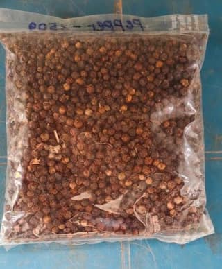 Black Pepper
