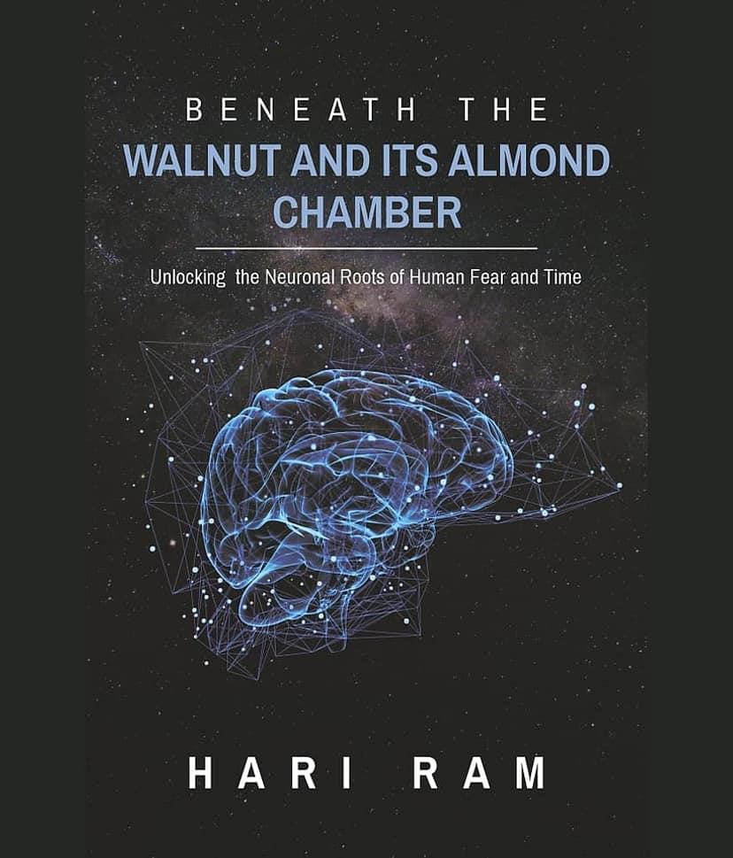 Beneath the walnut & Its Almond Chamber