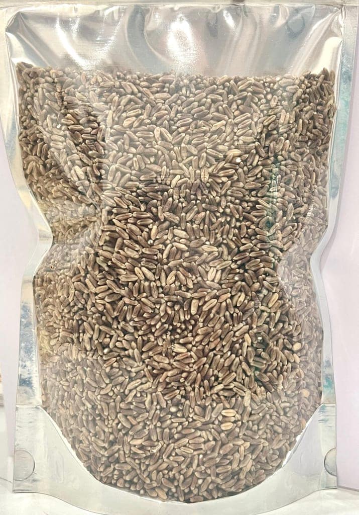 Black Wheat view 3
