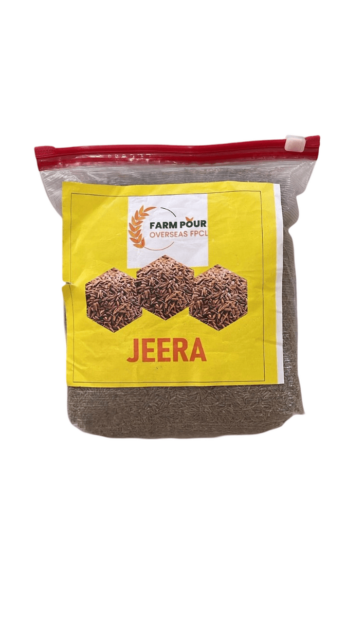 Jeera (Cumin Seeds) - 500 gm view 2