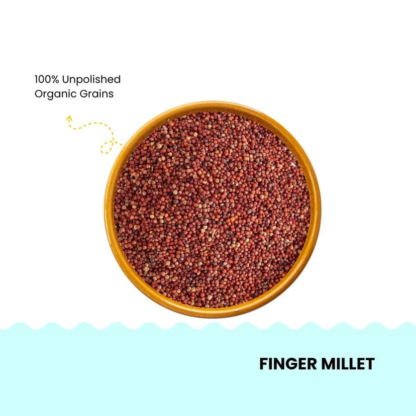 FarmFresco Unpolished Finger Millet (Ragi) 500g view 2