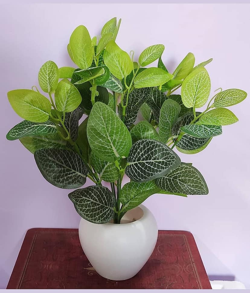 BAARIG - Green Evergreen Artificial Plants Bunch ( Pack of 1 ) view 2