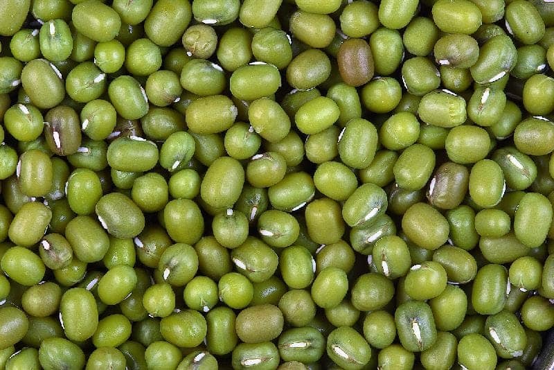GREEN GRAM (MOONG DAL) view 6